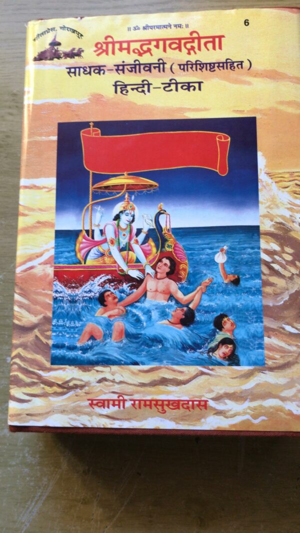 Shrimad Bhagvad Gita Saadhak Sanjivni Sanskriet- Hindi